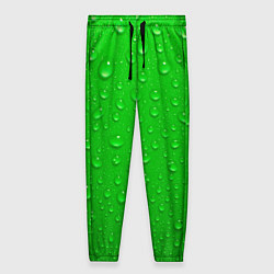 Женские брюки Зеленый фон с росой