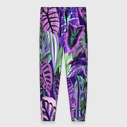 Женские брюки Цветы Яркие Тропики