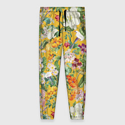 Женские брюки Цветы Солнечное Лето