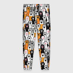 Женские брюки Кошачьи лапы