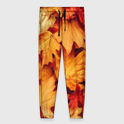 Женские брюки Осенние кленовые листья