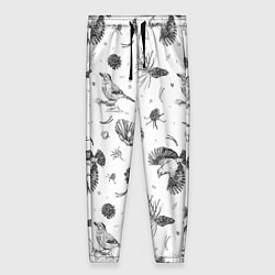 Женские брюки Сойка в Бузулукском бору