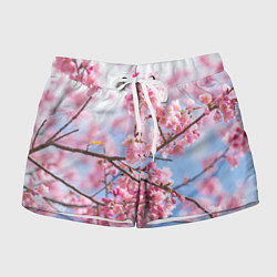 Женские шорты Ветки Сакуры