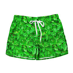 Женские шорты Зелёные листья - текстура