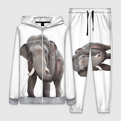 Женский 3D-костюм Большой слон, цвет: 3D-меланж