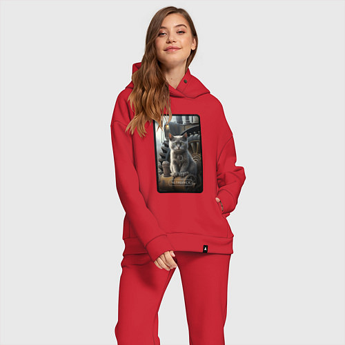 Женский костюм оверсайз Челябинск котик / Красный – фото 2