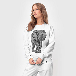 Костюм хлопковый женский Огромный могучий слон, цвет: белый — фото 2