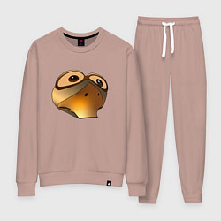 Костюм хлопковый женский Круглый гусь, цвет: пыльно-розовый