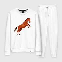 Костюм хлопковый женский Англо-арабская лошадь, цвет: белый