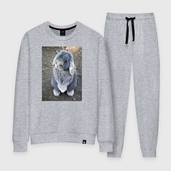 Костюм хлопковый женский Кролик очаровашка, цвет: меланж