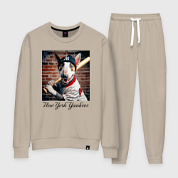 Костюм хлопковый женский Bull terrier - New York yankees baseball team, цвет: миндальный
