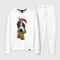 Женский костюм Новогодний питбуль