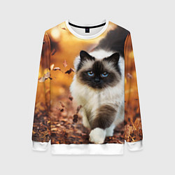 Женский свитшот Котик в листьях