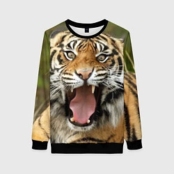 Свитшот женский Удивленный тигр, цвет: 3D-черный