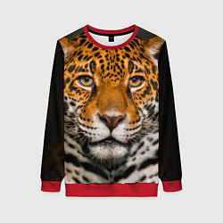 Свитшот женский Взгляд ягуара, цвет: 3D-красный