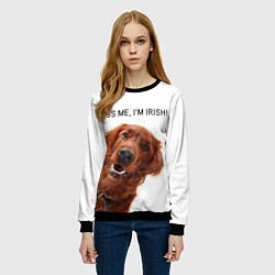 Свитшот женский Ирландский сеттер, цвет: 3D-черный — фото 2