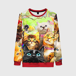 Свитшот женский КОТЫ, цвет: 3D-красный