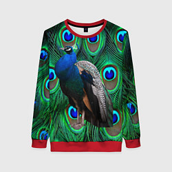 Женский свитшот Павлин на фоне своих перьев