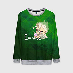 Свитшот женский Доктор Стоун, цвет: 3D-меланж