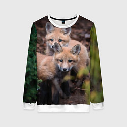 Женский свитшот Лисички фото