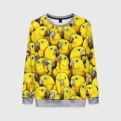 Свитшот женский Попугаи, цвет: 3D-меланж