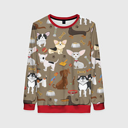 Женский свитшот У меня есть собака