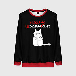 Женский свитшот Неприветливый кот