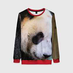 Свитшот женский Загадочная панда, цвет: 3D-красный