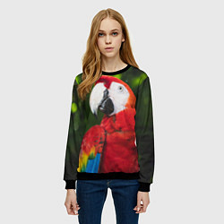 Свитшот женский Красный попугай Ара, цвет: 3D-черный — фото 2