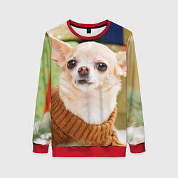 Женский свитшот Праздничный чихуахуа