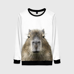 Женский свитшот Капибара пофигист