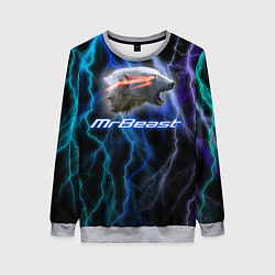 Свитшот женский Мистер Бист - молнии, цвет: 3D-меланж