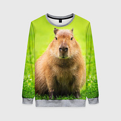 Свитшот женский Capybara on green grass, цвет: 3D-меланж