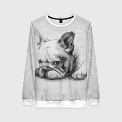 Свитшот женский Французский бульдог чб рисунок на стене, цвет: 3D-белый