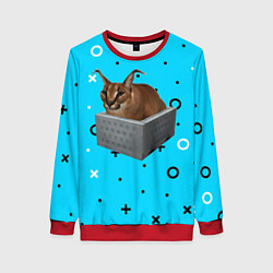 Свитшот женский Шлепа в коробке, цвет: 3D-красный