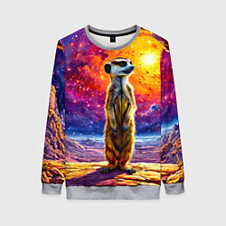 Женский свитшот Сурикат и космическое небо