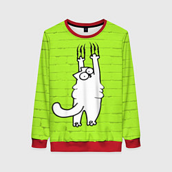 Женский свитшот Кот Симон на стене