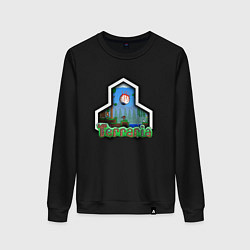 Женский свитшот Terraria