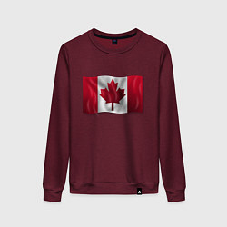 Свитшот хлопковый женский Канада, цвет: меланж-бордовый