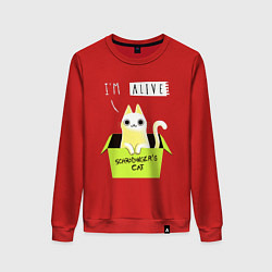 Свитшот хлопковый женский Кот спереди жив, а сзади, цвет: красный