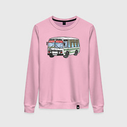 Женский свитшот Пазик