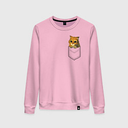 Свитшот хлопковый женский Шрек: Кот в кармане, цвет: светло-розовый