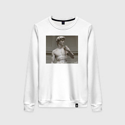 Свитшот хлопковый женский ДАВИД МИКЕЛАНДЖЕЛО, цвет: белый