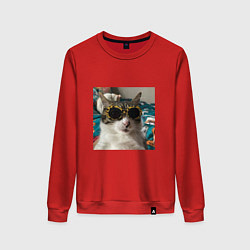 Свитшот хлопковый женский Мем про кота, цвет: красный