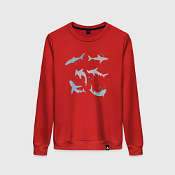 Свитшот хлопковый женский Акулы разные, цвет: красный