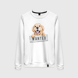 Свитшот хлопковый женский Dog Wanted, цвет: белый