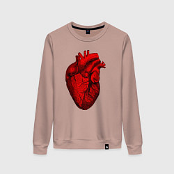 Свитшот хлопковый женский Сердце анатомическое, цвет: пыльно-розовый