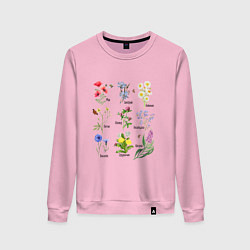 Свитшот хлопковый женский Иллюстрации полевых цветов с названиями, цвет: светло-розовый