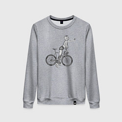 Свитшот хлопковый женский Отстаньте от кошки, цвет: меланж