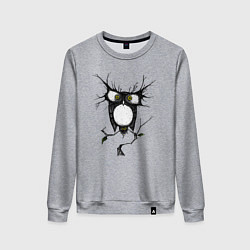 Свитшот хлопковый женский Сова и безумие, цвет: меланж